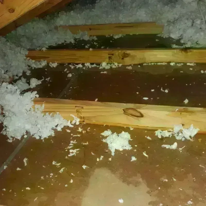 Attic Water Damage in Summit County, OH