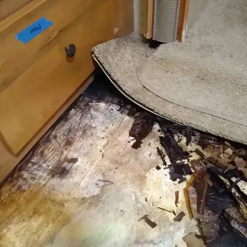 Wood Floor Water Damage in Summit County, OH